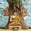  Ficus Religiosa im Buddha Vihara 