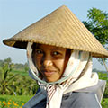  Reisfeldarbeiterin auf Bali 