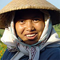  Reisfeldarbeiterin auf Bali 