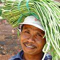  Gemüsehänder auf Bali bei der Arbeit 