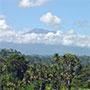  Blick auf den Gunung Agung Vulkan - 3142 Meter 